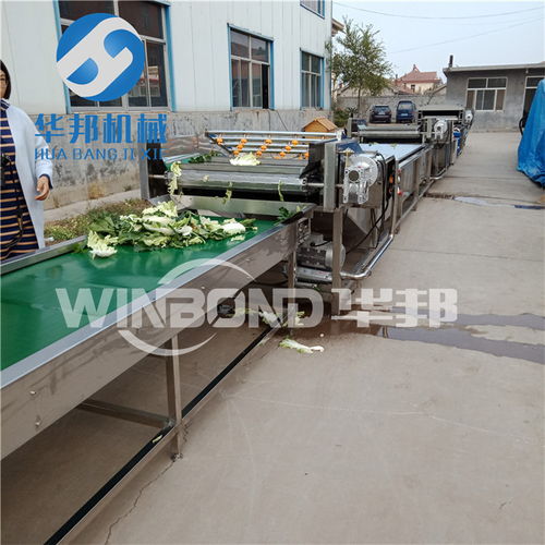 【蔬菜清洗設(shè)備,果蔬清洗機(jī),凈菜加工設(shè)備】- 
