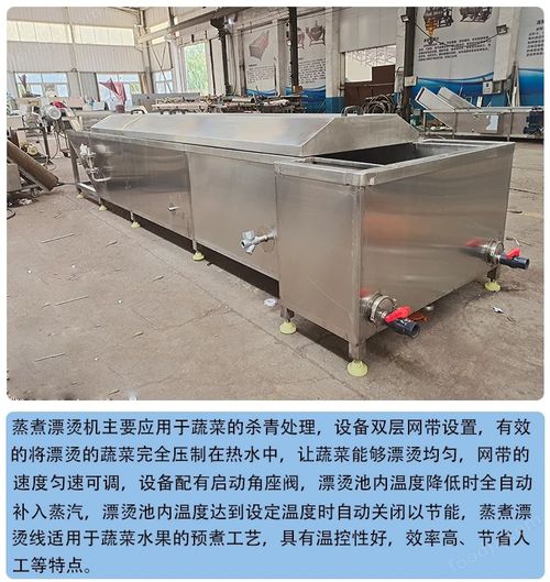 毛豆清洗設(shè)備 果蔬加工成套設(shè)備