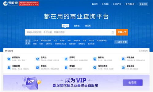 盤點2024年主流企業信息查詢軟件與信息技術咨詢服務